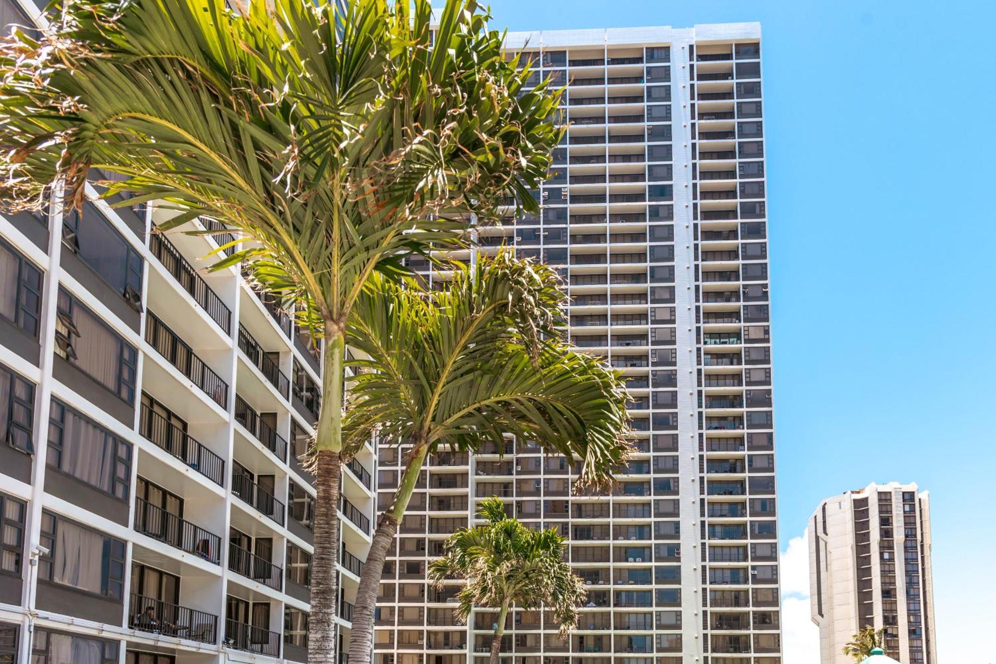 Renovated Ocean View Suite, Near Beach, Free Parking Гонолулу Екстер'єр фото